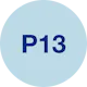 P-13 Logo